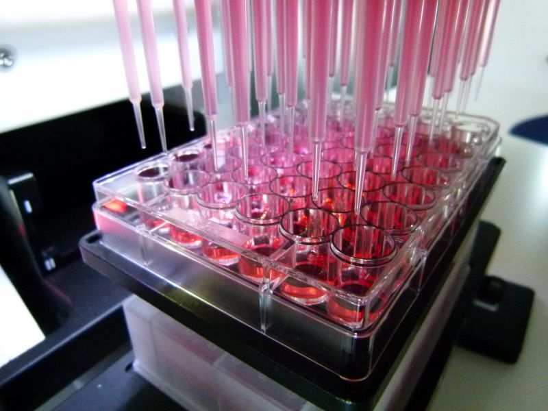 Changement de milieu pour culture cellulaire en microplaque 48 puits